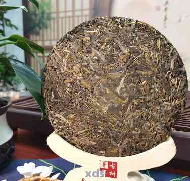 云南原生态普洱茶：珍稀云域恐龙化石主题饼茶