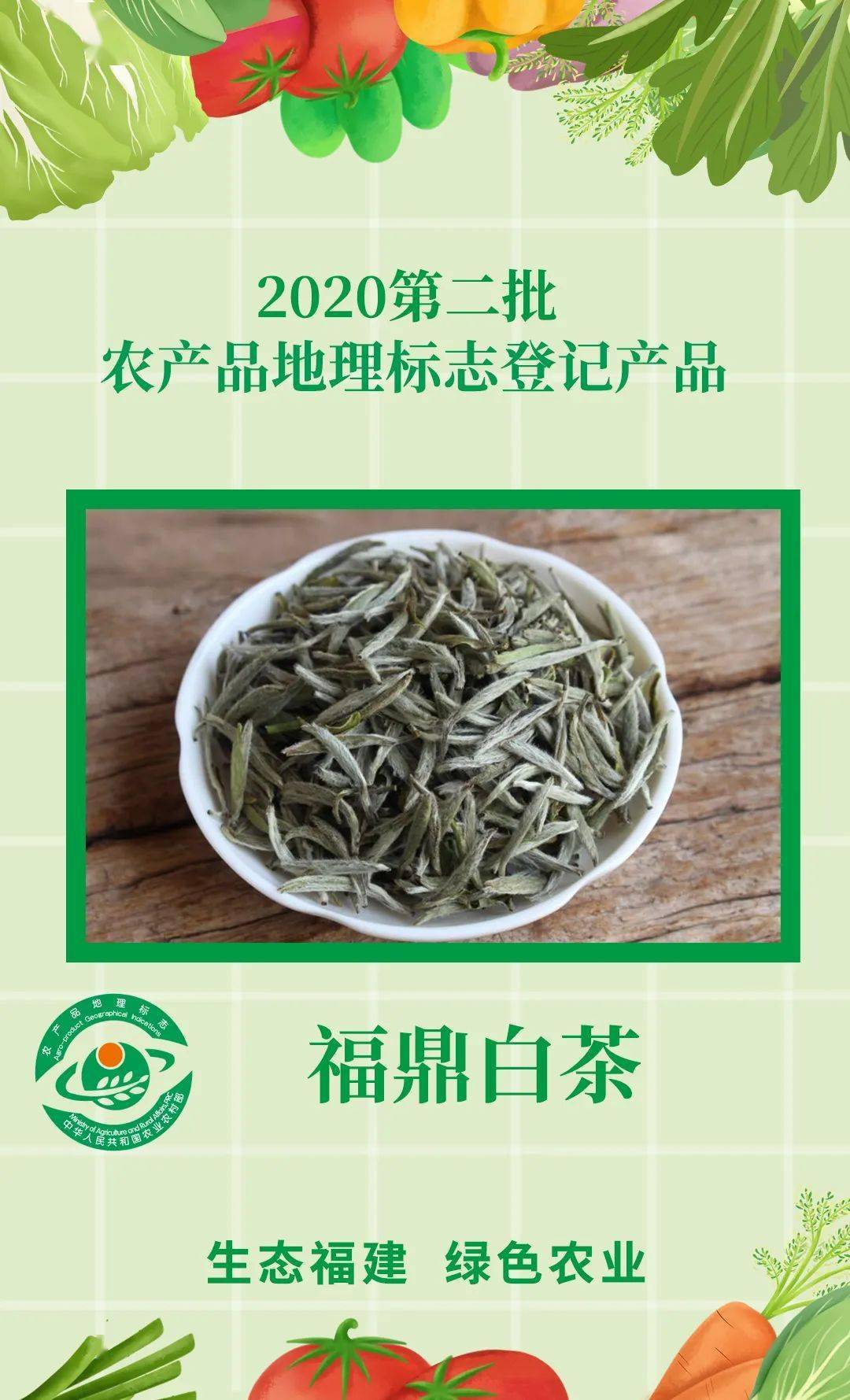 福鼎白茶正宗哪里购买？哪里有品质保证的茶叶店铺推荐？