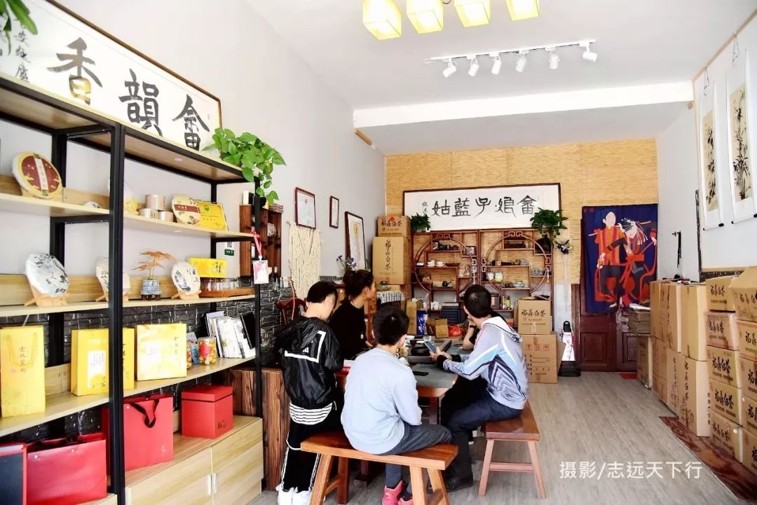 福鼎白茶正宗哪里购买？哪里有品质保证的茶叶店铺推荐？