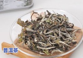 '福鼎白茶场位置查询，哪里有优质白茶批发中心？'