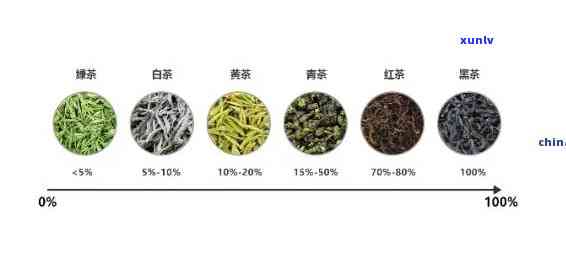 深入探讨：品味世界，理解各类茶的独特魅力与风味特征