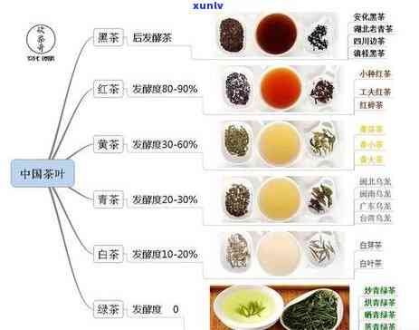 各种茶的特点与味道