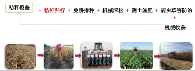 全方位解析：如何有效去除普洱茶中的黄曲霉素及其对人体的影响