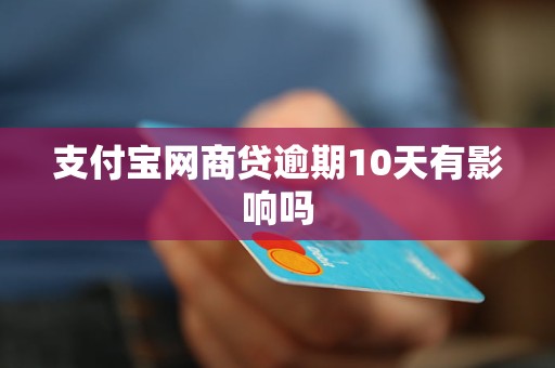 支付宝网商贷欠10万逾期5年没还如何处理