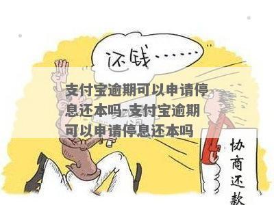 支付宝贷款逾期停息分期