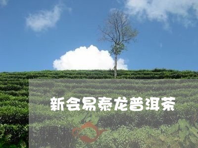 新 易泰龙茶厂：品质保证，诚信经营，您的首选茶叶供应商