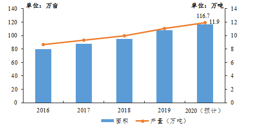 中国十大名茶的生产地、省份及排名