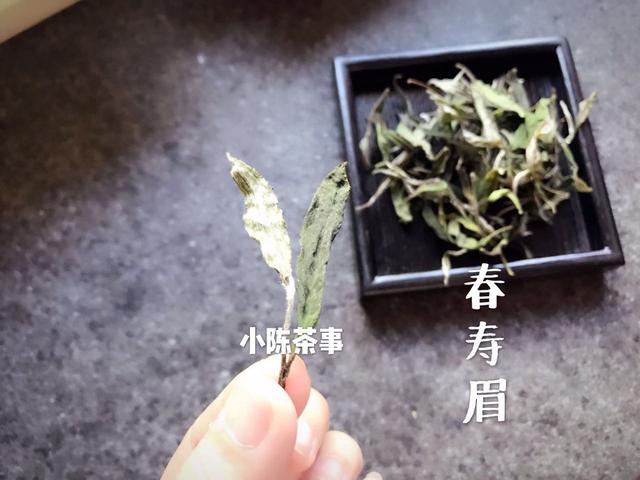 春海茶厂老班章生态茶：品质、制作工艺与生态环境的综合解析