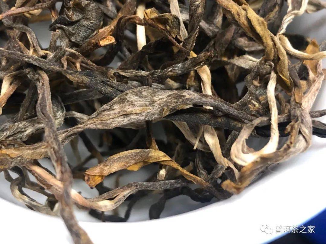 老班章春茶：古树茶与新工艺的完美融合，对比与其他普洱茶的区别在哪里？