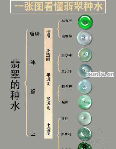 '水属性翡翠：五行关联，特性解析，属性探讨'