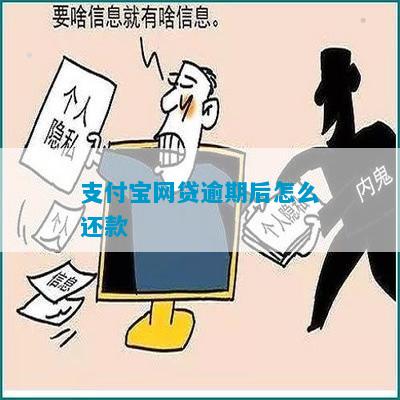 支付宝网贷还不上怎么避免逾期罚款