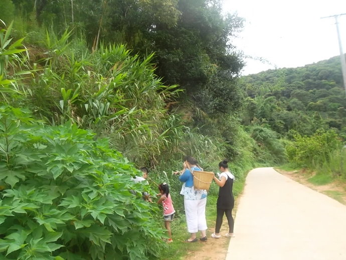 福兴普洱茶口感好喝，价格适中。福兴普洱茶怎么样啊？