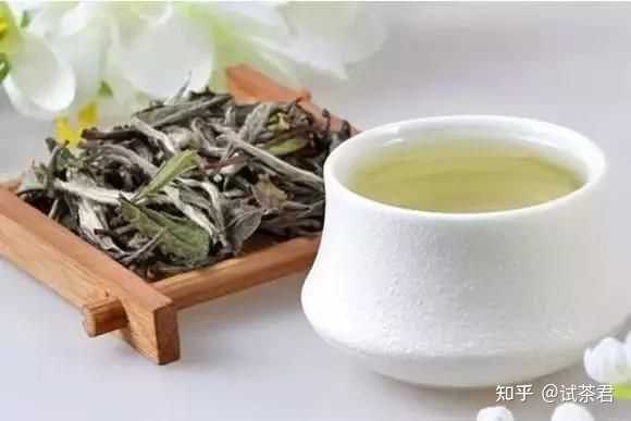 白茶可以和普洱茶放一起泡吗： 茶叶混合的魔力与可能性