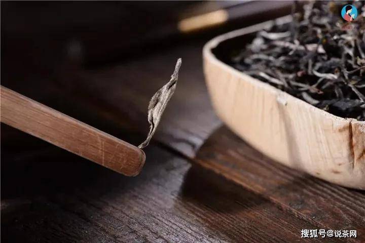 白茶可以和普洱茶放一起泡吗： 茶叶混合的魔力与可能性