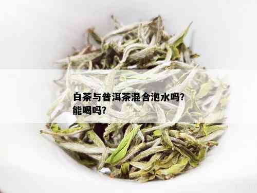 白茶可以和普洱茶放一起泡吗： 茶叶混合的魔力与可能性