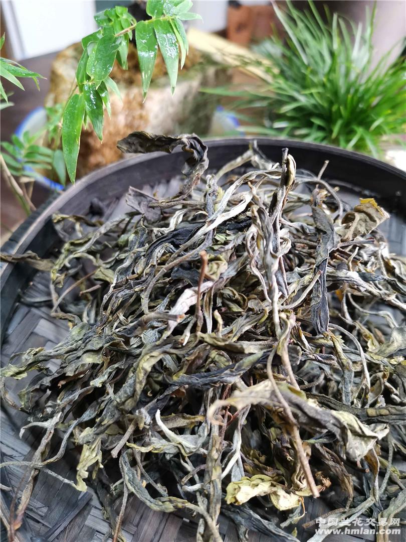 云南南涧茶厂古树单芽