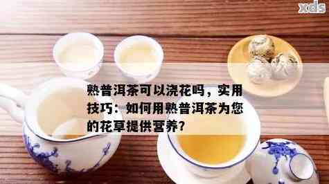 探索普洱茶的多功能利用：除了饮用，它还可以用来浇花吗？