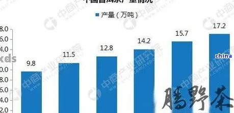 普洱茶目标顾客群体是