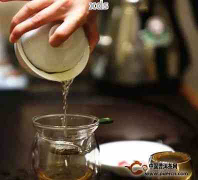 冰岛茶：水及泡法探究，让茶香更加浓