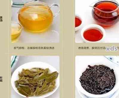 云南特产普洱茶白菜品种排行榜，全方位解析与精选指南