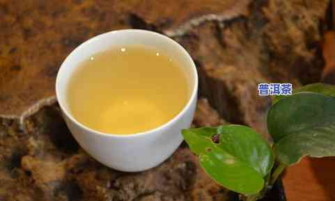 白菜普洱茶全解析：价格、品质、功效与泡法一网打尽