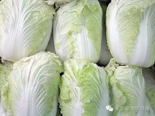 普洱茶大白菜系列价格、品种及介绍