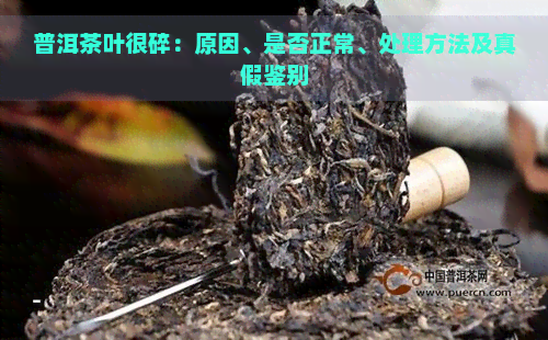 新普洱茶渣中碎叶现象分析：正常吗？对健有影响吗？