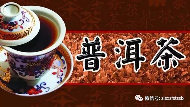 月光金枝普洱茶云桢：香韵云南，茶色人生