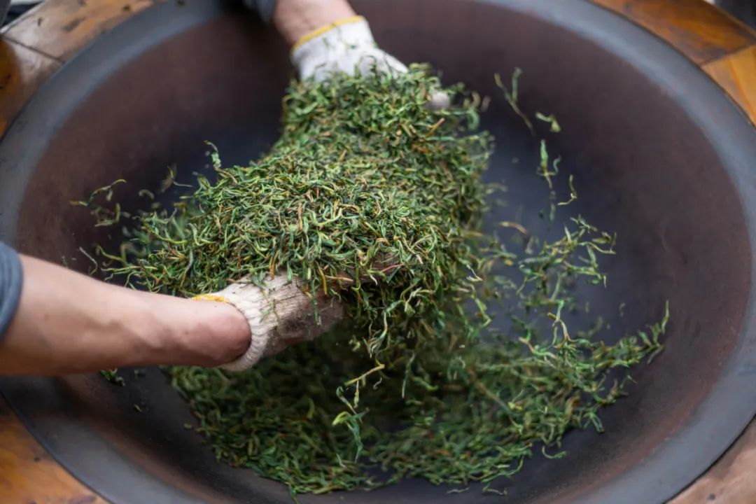 普洱茶属于红茶绿茶黄茶黑茶中的哪一种：普洱茶的分类与区别