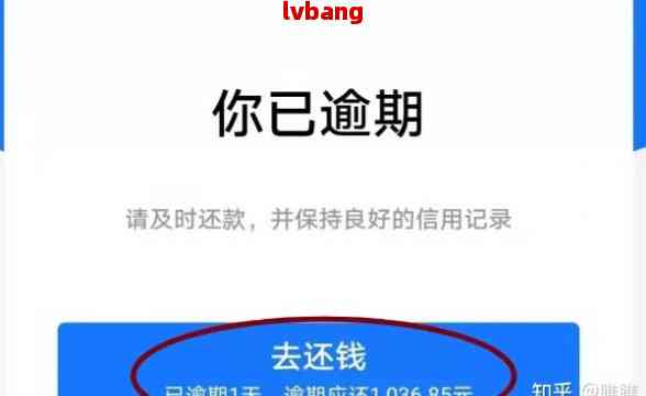 花呗欠款1万多逾期半年了怎么解决