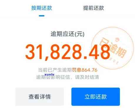 花呗欠款1万多逾期半年了怎么解决