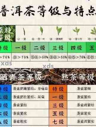 揭秘普洱茶年份的奥秘：了解其背后的专业术语与品质保证