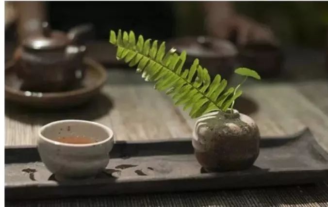 普洱茶是谁，普洱熟茶，普洱茶之，普洱茶老板是谁