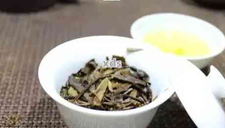 普洱茶新旧茶对比：新茶与老茶的品饮体验有何差异？