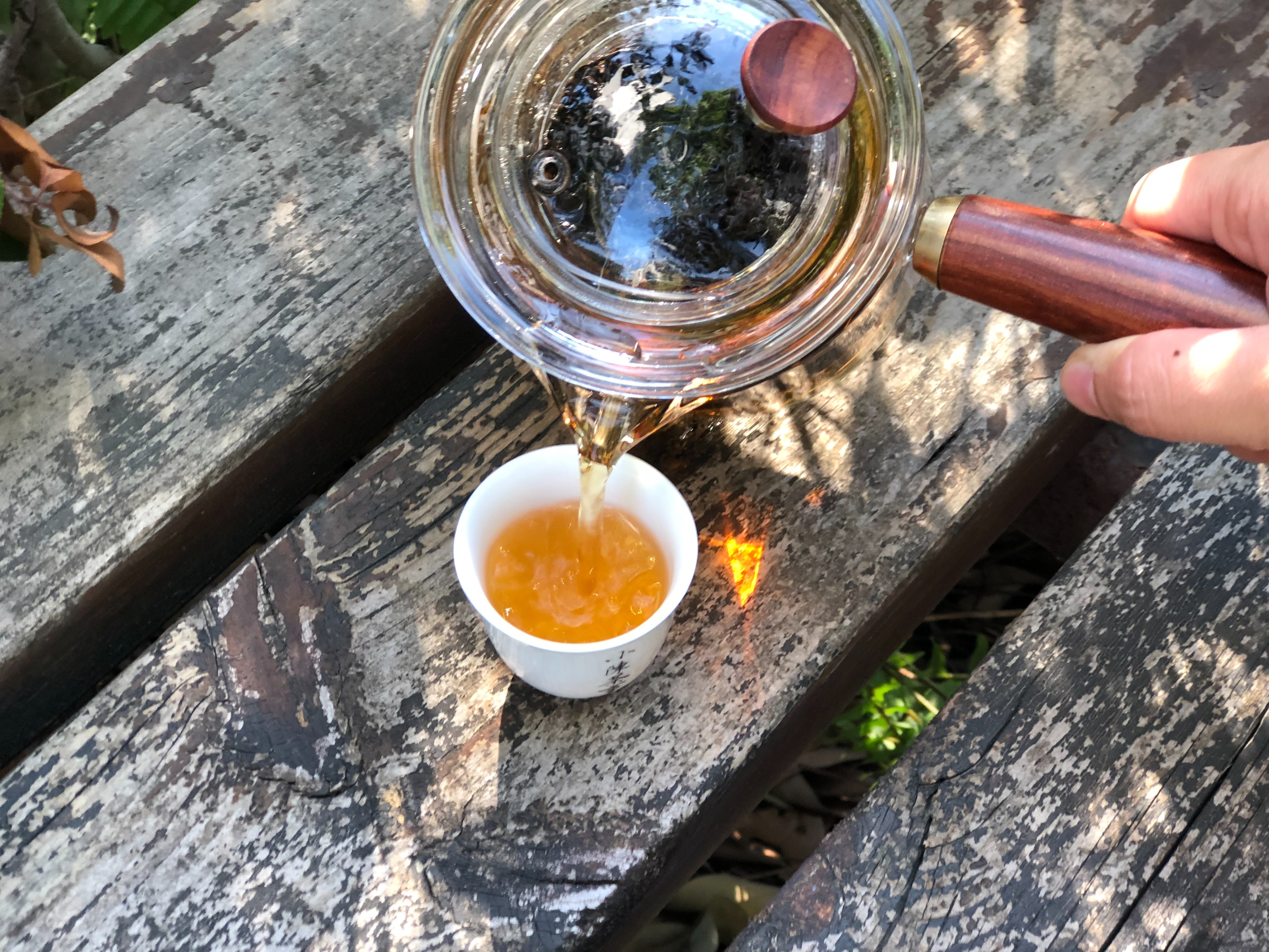 普洱茶为什么一定要煮：探究普洱茶煮泡的原因与意义