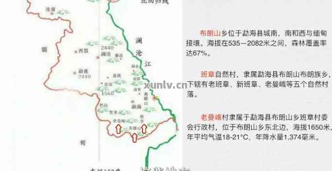 章朗茶区：地理位置、品种特色与口感解析，让你全面了解这一著名茶叶产地