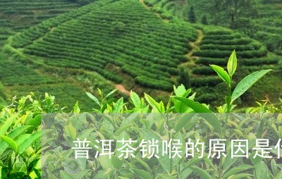 普洱茶锁喉作用详解：缓解喉咙不适，保护声带健