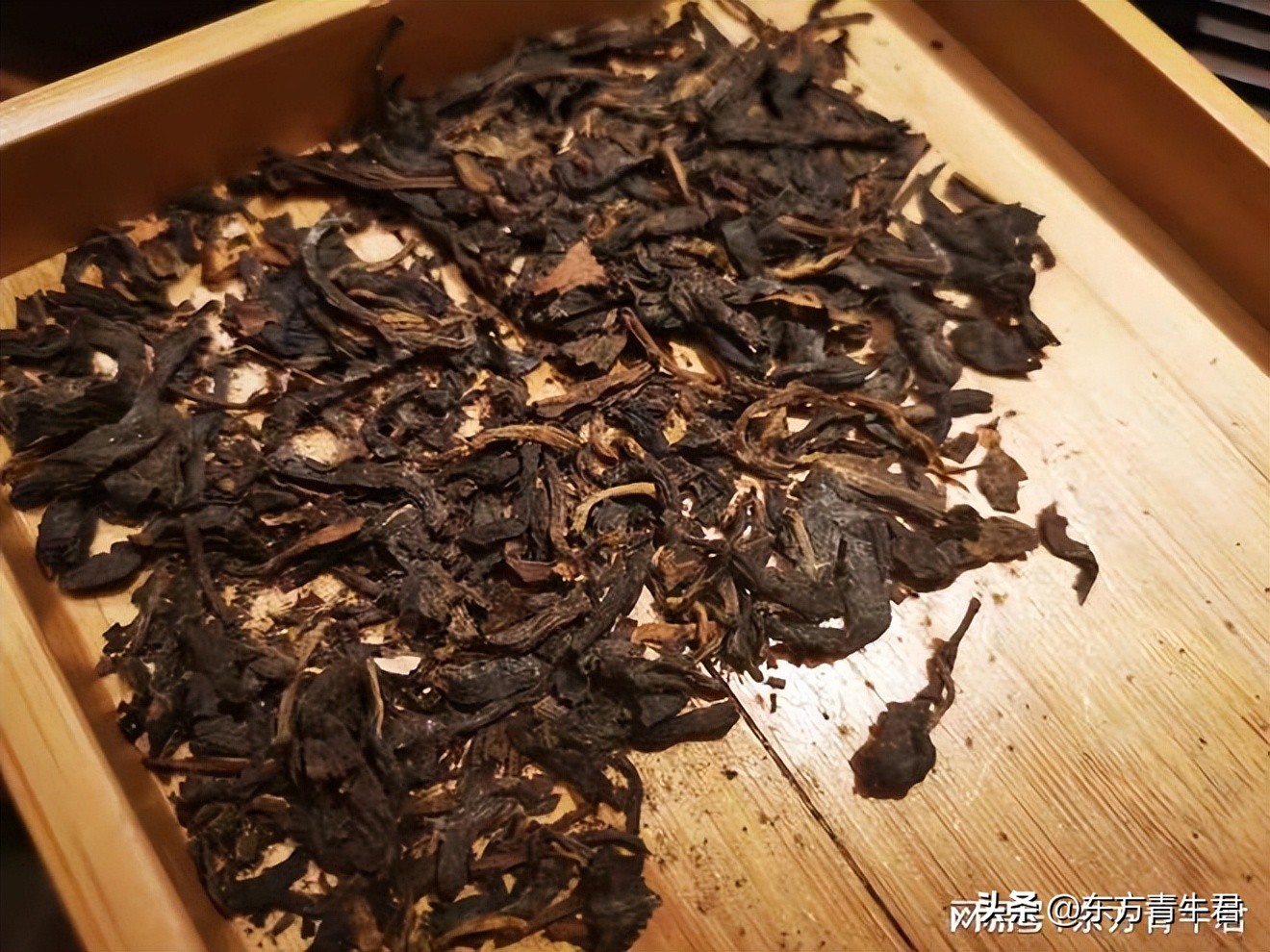 普洱茶适合什么节饮用：节、时间及原因