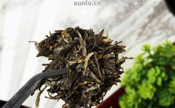 大益花草普洱：茶香与自然的完美融合