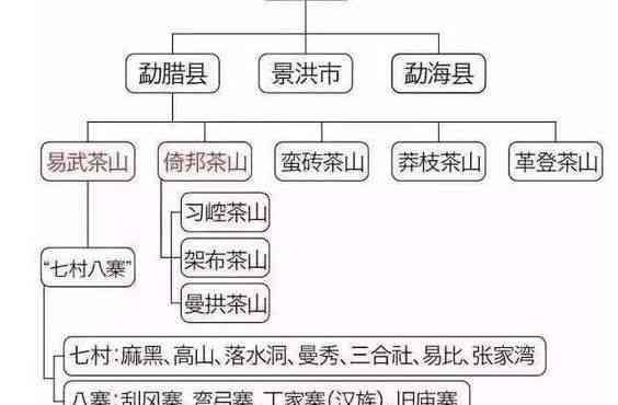 普洱茶地理知识全方位解析：从产地、气候条件到制作工艺和种类等多方面探讨