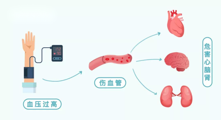 降血脂、血压、血糖的理想茶饮选择及其功效解析