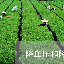 什么茶可以降血脂血压