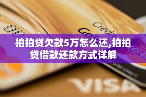 欠款5万还不上怎么办解决方法