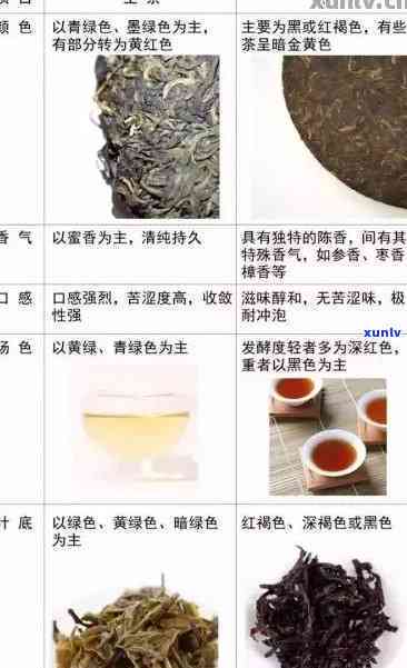 普洱茶生茶与熟茶口感对比：二者有何区别？