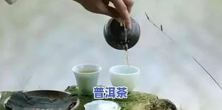 胖人适合喝什么茶叶：选择与健效益