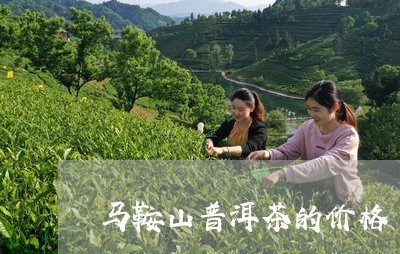 马鞍山特产云南普洱茶：源自高山，品味纯正，一款健饮品的代表