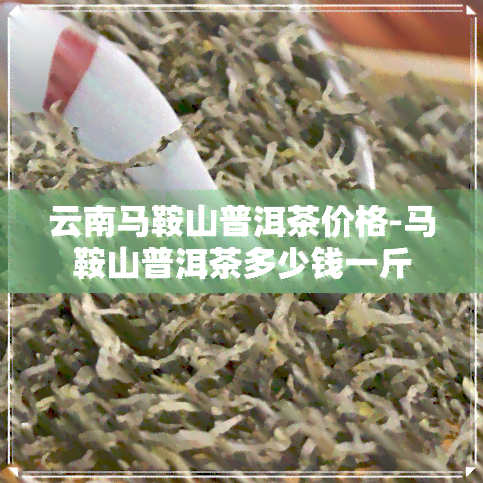 马鞍山特产云南普洱茶：源自高山，品味纯正，一款健饮品的代表