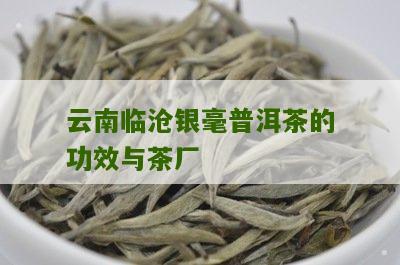 临沧市银毫茶厂茶叶品质如何？了解其品种、口感、价格等全方位信息