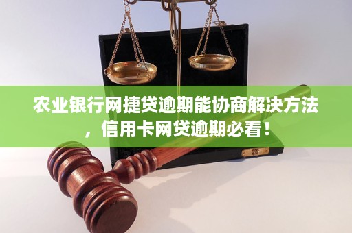 农行网捷贷逾期自动扣款