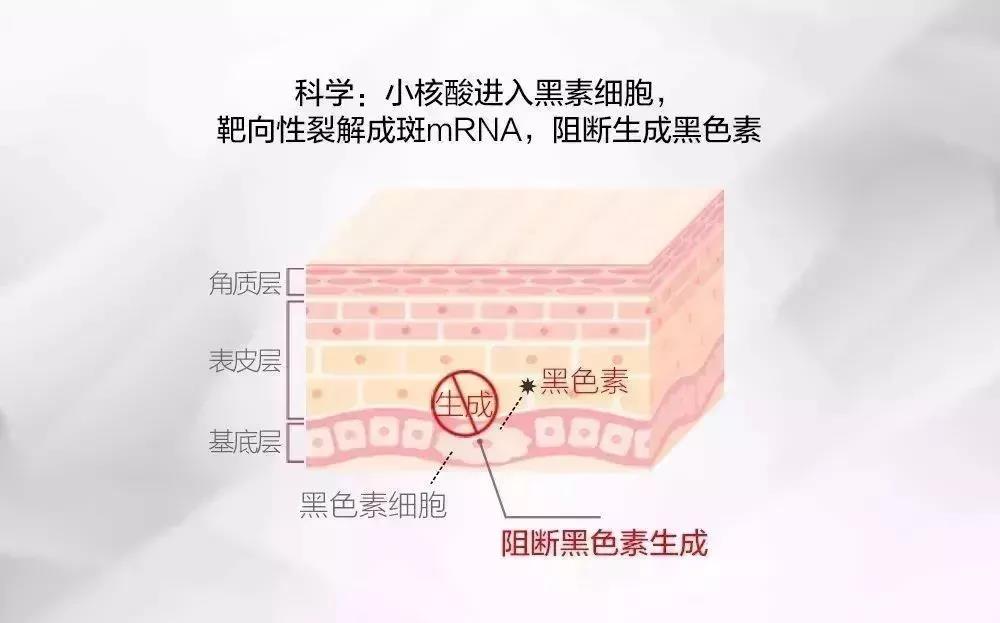 茶叶：祛斑的新选择？探索科学有效的方法与成分